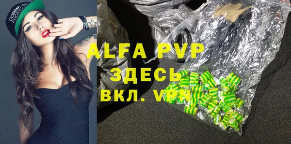 метадон Богданович