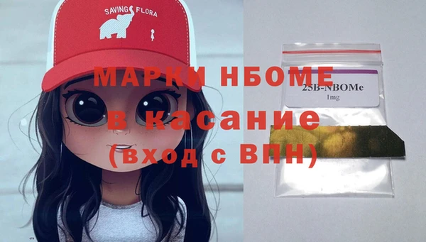 spice Богородицк