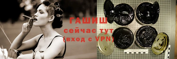 spice Богородицк