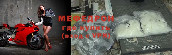 spice Богородицк