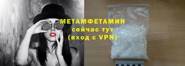 метадон Богданович