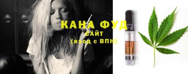 spice Богородицк