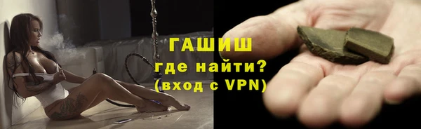 spice Богородицк