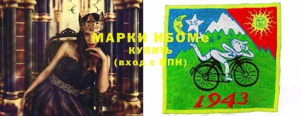 spice Богородицк