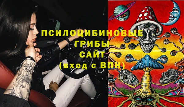 метадон Богданович