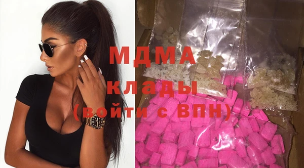 spice Богородицк