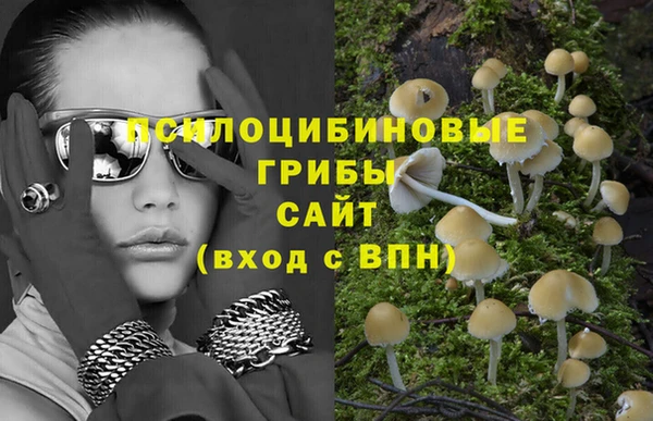 метадон Богданович