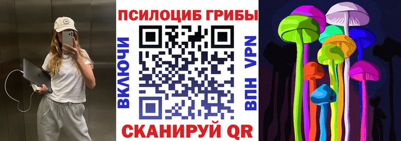 Галлюциногенные грибы Psilocybine cubensis  Дмитровск 